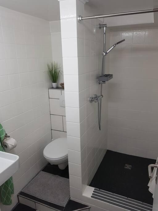 Ferienwohnung Bela, Naehe Nuerburgring Luxem Екстериор снимка